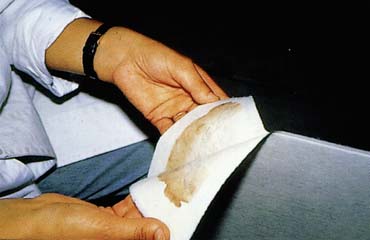 Papierspalten