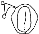 O