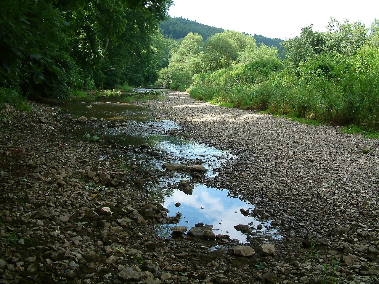 Und weg - Donauversickerung bei Immendingen (Vorlage: Wikimedia Commons/Drombalan)