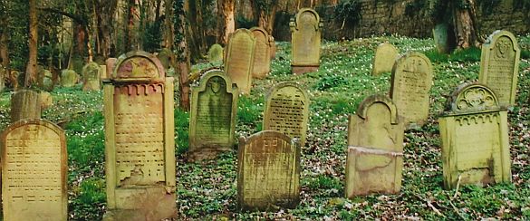 Jüdischer Friedhof Wertheim (Vorlage: Fotoarchiv Wehnert, StAWt S-N 70 Nr. 451, 7579/24A; 1.4.2007)