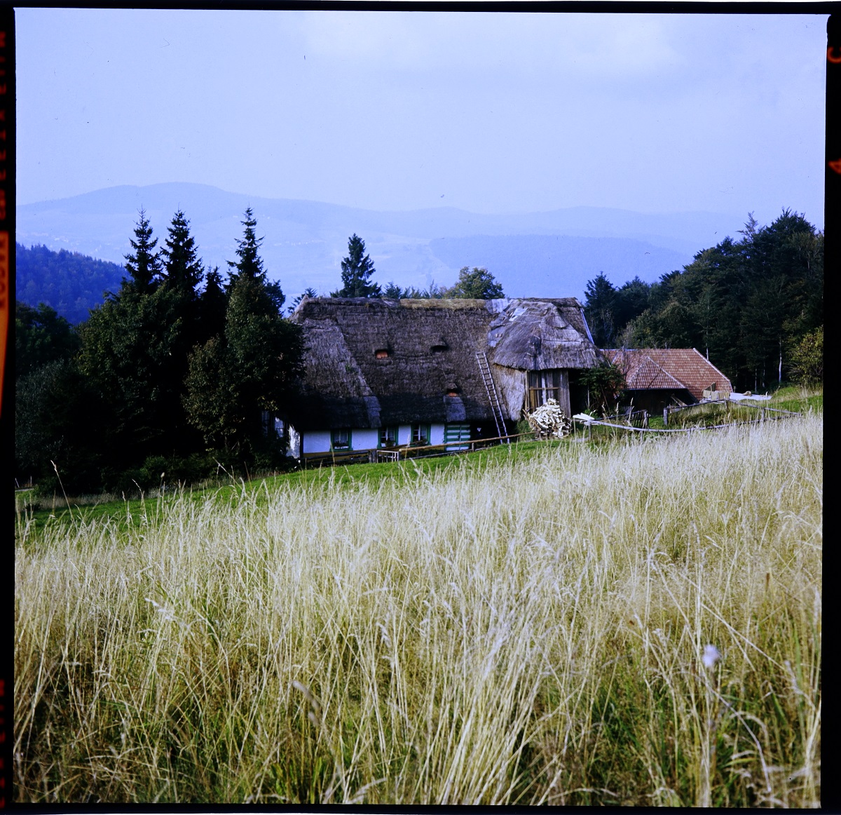 Slider 6 Hotzenhof im Schwarzwald