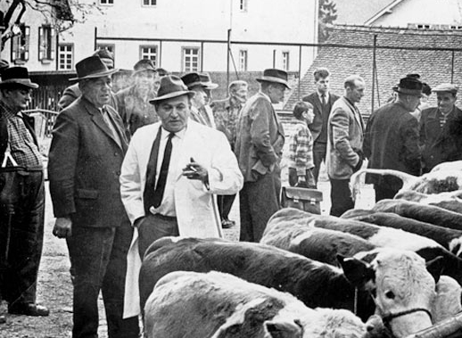 Harry Kahn auf dem Viehmarkt in Nagold beschnitten