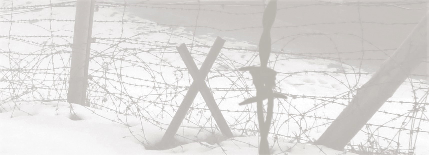 Stacheldrahtzaun_Schnee_dunkler_Header