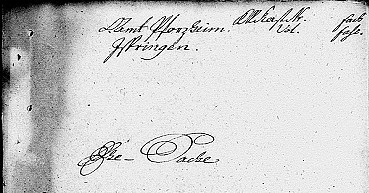 Ehescheidungsgesuch der Martin Mössnerschen Ehefrau zu Ispringen (1788-1796)