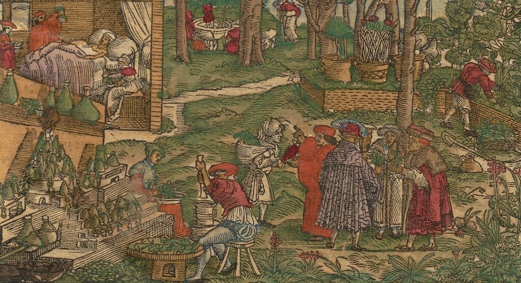 Kräuterbuch Eustachius Rößlin (Quelle: HZAN GA 120 Nr. 7)
