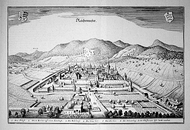 Die Stadtansicht von Matthäus Merian aus dem 1643 zeigt Reichenwieier aus der niederen Vogelschau von Osten. 