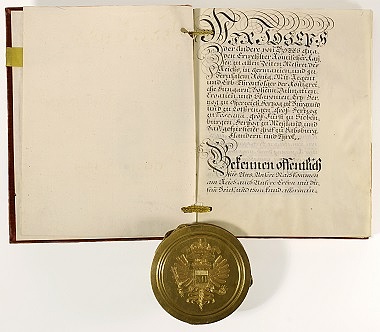 Das Bild zeigt ein Pergament mit einem Siegel in Metallkapsel.