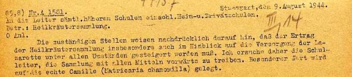 Zur&uuml;ck